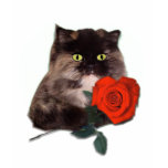 Persian Cat with Red Rose Tshirt
