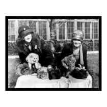 Persian Cats and American Ladies 1924 posters
