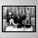 Persian Cats and American Ladies 1924 Poster