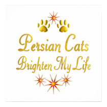Persian Cats Brighten My Life posters
