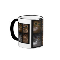 PERSIAN CATS Mug