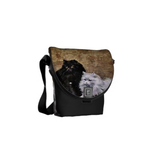 persian cat bag