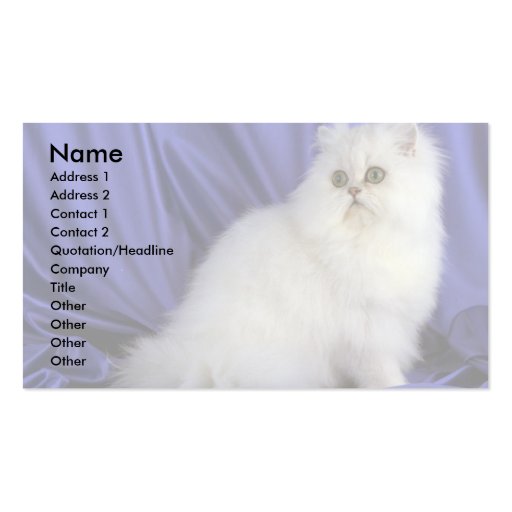 Persian, chinchilla business card (front side)