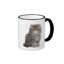 Persian Kitten (2 months old) sitting Mugs