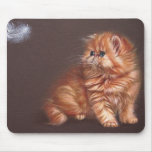 Persian kitten and feather mouse mats