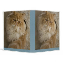 Persian Kitten binders by tshirtdart Persian Kitten binders