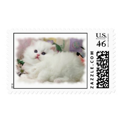 Persian Kitten Postage Stamps by kokobaby