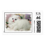 Persian Kitten Postage Stamps
