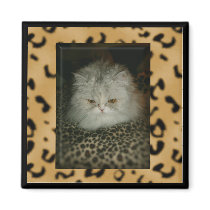 Persian Kitty Magnets