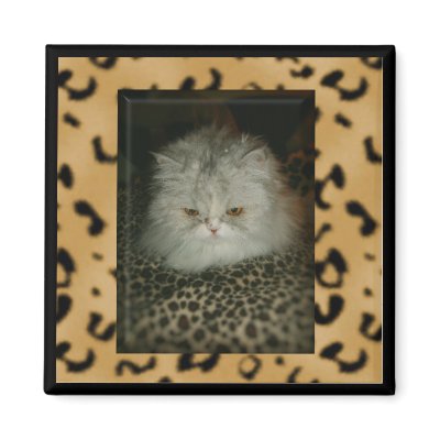 Persian Kitty Magnets by sharpcreations