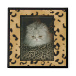 Persian Kitty Magnets