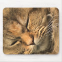 Persian kitty mousepads by jbouzou Persian kitty mousepads