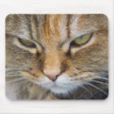 Persian kitty portrait mousepads by jbouzou Persian kitty portrait mousepads