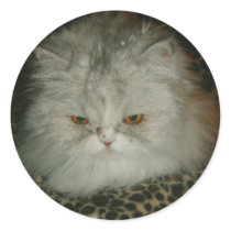 Persian Kitty stickers by sharpcreations Persian Kitty stickers