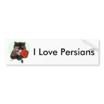 Persian Kitty with Rose bumper stickers by janbalaya Persian Kitty with Rose bumper stickers