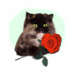 Persian Kitty with Rose Gifts and Apparel Tshirts