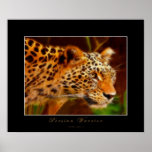 PERSIAN LEOPARD Art Poster posters