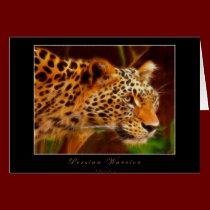 Persian Leopard Gift Series cards