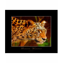 Persian Leopard Gift Series t-shirts