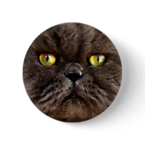 Persian Pussy buttons by Squealia Persian Pussy buttons