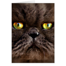 Persian Pussy cards by Squealia Persian Pussy cards