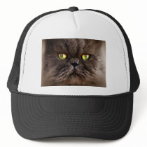 Persian Pussy hats by Squealia Persian Pussy hats