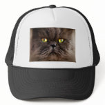 Persian Pussy hats