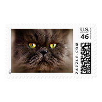 Persian Pussy postage
