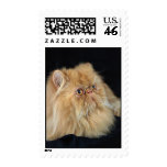 Persian, red postage stamp