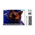 Persian Rescue Stamp