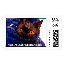 Persian Rescue Stamp by PurebredCatRescue Persian Rescue Stamp