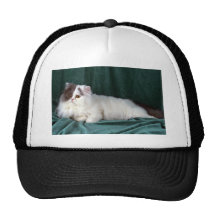 Persian, white and blue Persian van Trucker Hat