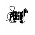 PERSIANS SILHOETTE t-shirts