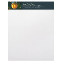 persimmon fruit farm letterhead
