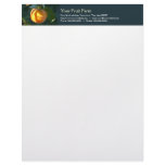 persimmon fruit farm letterhead