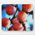 Persimmons mousepads