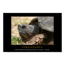 PERSISTENCE Motivational Turtle Poster Print