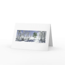 Persistence / Persistance cards