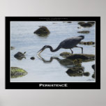 PERSISTENCE ~ Photo Print