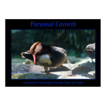 Personal Growth Poster posters
