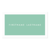 Personal Networking Business Cards in Mint