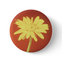 Personalize Cute Daisie Button