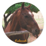 Personalize Horse stickers