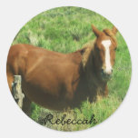 Personalize Name Horse Round Stickers