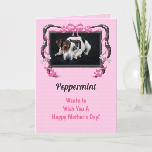 Personalize this Mother's Day Card from the Dog!