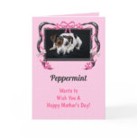 Personalize this Mother's Day Card from the Dog!