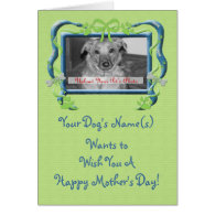 Personalize this Mother's Day Card from the Dog!