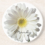Personalize With a Name Daisy Coaster Personalize With a Name Daisy Coaster