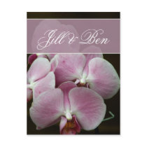 Personalize your own orchid design postcards