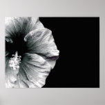 PERSONALIZED BLACK &amp; WHITE HIBISCUS FLOWER PRINT